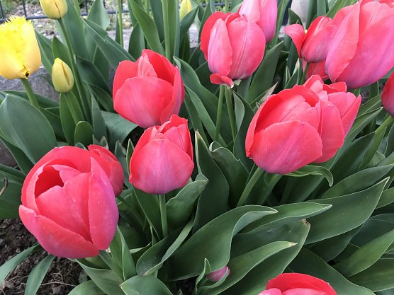 Wetterbild (Foto: nnz-Archiv)