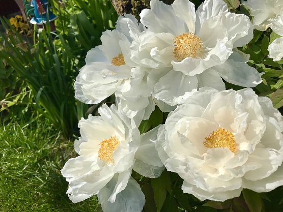 Wetterbild (Foto: nnz) Wetterbild (Foto: nnz)