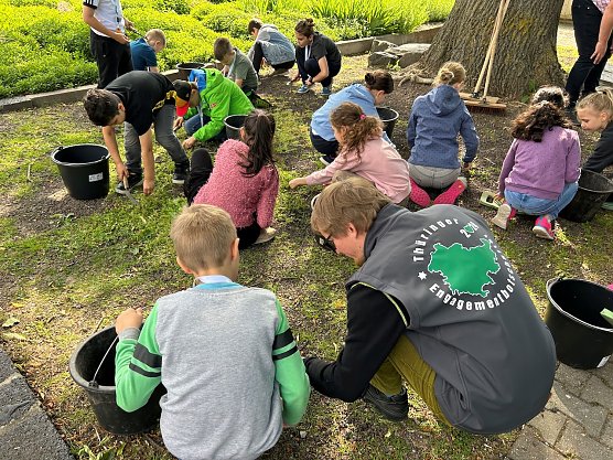 Th&uuml;ringer Sch&uuml;lerfreiwilligentag 2024 - Johannesschule EF Klasse 3 c 5 (c) (Foto: Alexandra Kehr)