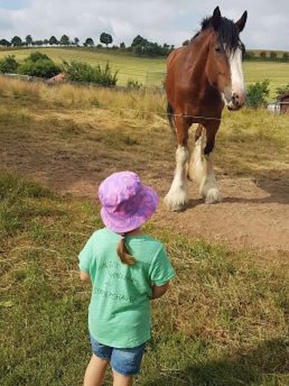 Die 4-j&auml;hrige Melina bestaunt ein gro&szlig;es Pferd an der Wanderstrecke (Foto: B. Asche (privat))