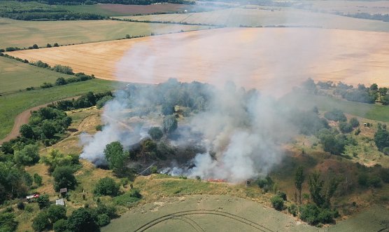 Vegetationsbrand heute Morgen (Foto: S.Dietzel)