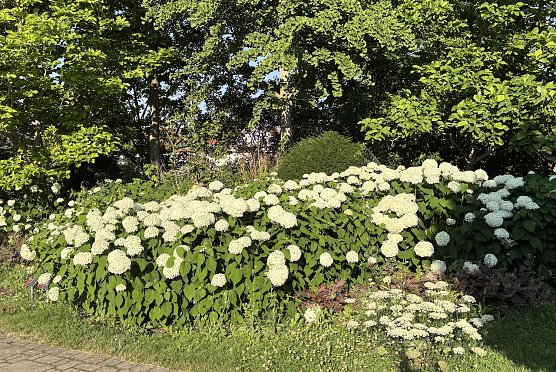 Heute regnerisch und stürmisch (Foto: oas) Heute regnerisch und stürmisch (Foto: oas)