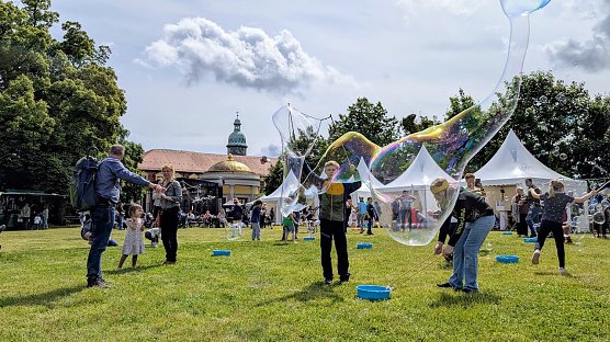 Auf der Theaterwiese wird es zum Kinder- und Jugendmusikfestival Viel zu entdecken geben. (Foto: Janine Skara)