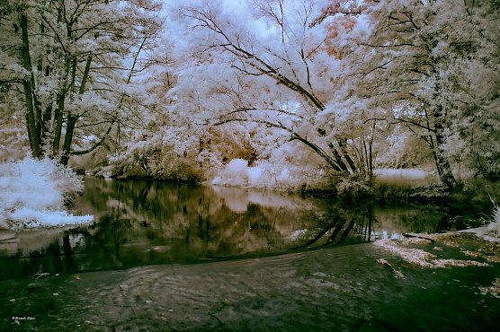 1. Europakreuzung in Richtung Stadtpark in Nordhausen (Foto: Christopfer Seizmer) 1. Europakreuzung in Richtung Stadtpark in Nordhausen (Foto: Christopfer Seizmer)