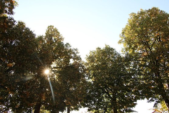 Wetterbild (Foto: agl)