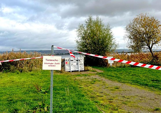 Absperrung im Bereich des Kelbraer Stausees zum Schutz vor der Wildvogel- und Gefl&uuml;gelpest. Foto: Hintergrund Container f&uuml;r die Sicherung verendeter V&ouml;gel (Foto: Landratsamt Kyffh&auml;userkreis, Celine Appenrozh)