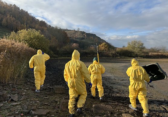 Mitarbeiter der Kreisverwaltung bei der Suche nach verendeten Wildv&ouml;geln am Stausee Kelbra (Foto: Landratsamt Kyffh&auml;userkreis - Andrea Hellmann)