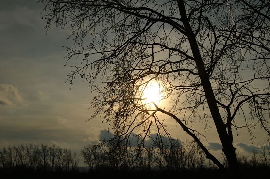 Wetterbild (Foto: agl)