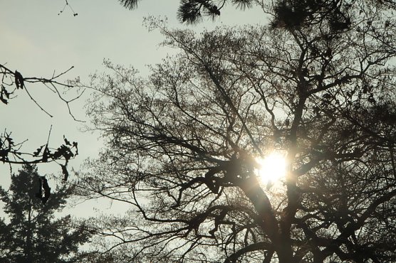 Wetterbild (Foto: agl) Wetterbild (Foto: agl)