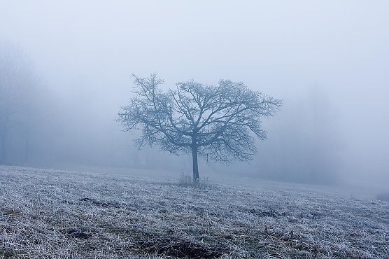 Wetterbild (Foto: pixabay.com) Wetterbild (Foto: pixabay.com)