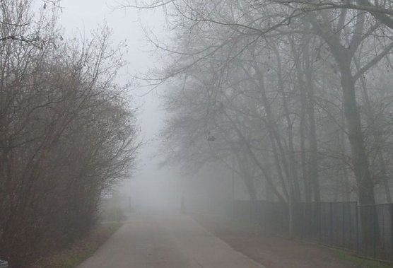 Wetterbild (Foto: nnz)