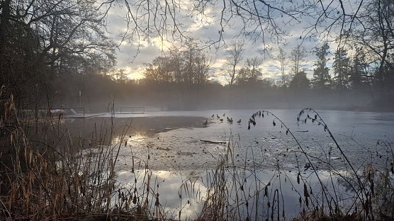 Wetterbild (Foto: agl) Wetterbild (Foto: agl)