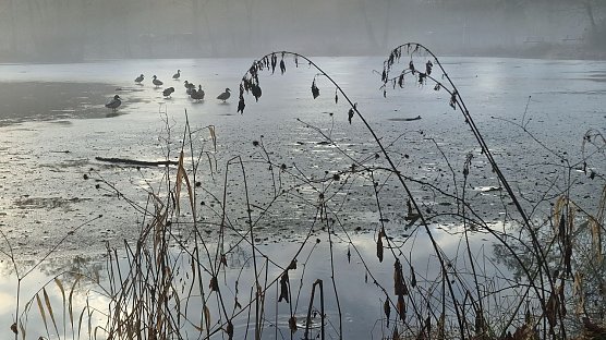 Wetterbild (Foto: agl)