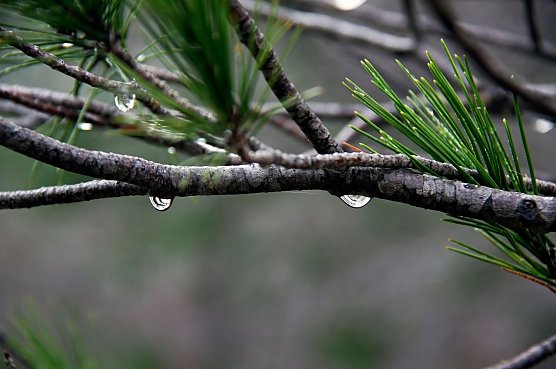 Wetterbild (Foto: Julian DC auf Pixabay)