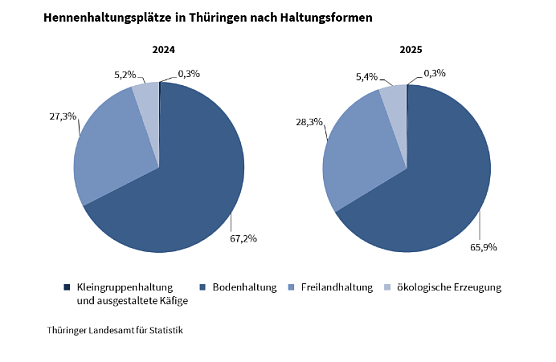 So werden H&uuml;hner in Th&uuml;ringen gehalten. (Foto: Quelle: Statitisches Landesamt)