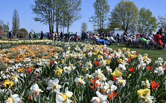 Das Er&ouml;ffnungswochenende der Landesgartenschau besuchten rund 10.000 G&auml;ste (Foto: Stadt Leinefelde-Worbis)