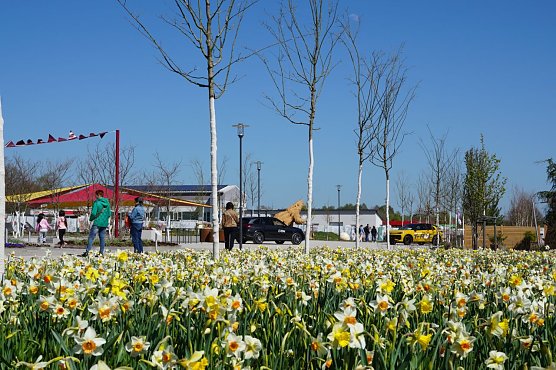 Die Landesgartenschau in Leinefelde-Worbis lockt mit einem besonderen Angebot zum M&auml;nnertag. (Foto: ssc)