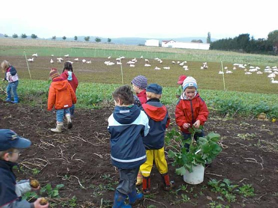 Auf dem Bauernhof (Foto: Kindervilla Bad Frankenhausen) Auf dem Bauernhof (Foto: Kindervilla Bad Frankenhausen)