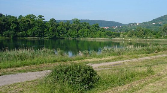 Kiesgrube (Foto: Archiv Herrmann)