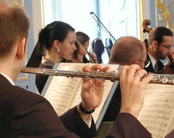 Schlosskonzert (Foto: I. Kühn) Schlosskonzert (Foto: I. Kühn)