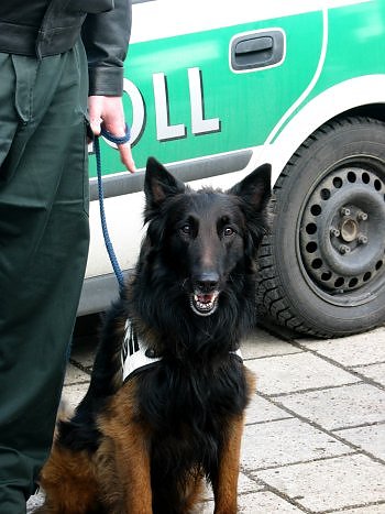 Mitgemacht (Foto: Wooly)