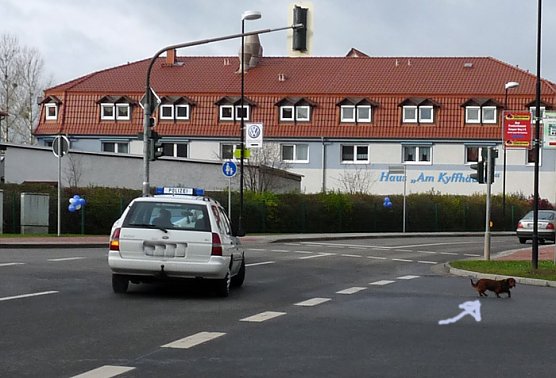 Verkehrssünder (Foto: Karl-Heinz Herrmann) Verkehrssünder (Foto: Karl-Heinz Herrmann)