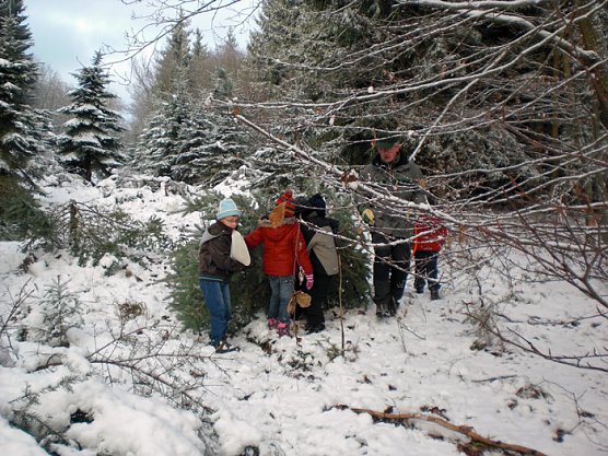 Tannenbaum im Winterwald (Foto: Karl-Heinz Herrmann)