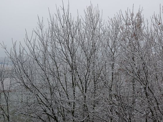 Start in den Advent (Foto: Karl-Heinz Herrmann)