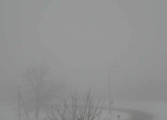 Schnee und Nebel (Foto: Karl-Heinz Herrmann)