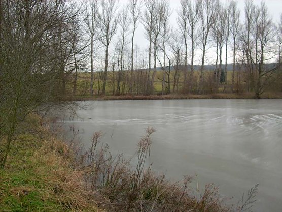 Zugefrorener Hammateich (Foto: Karl-Heinz Herrmann)