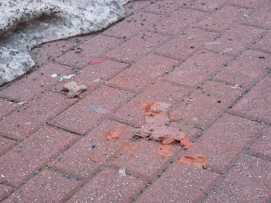 Die verminte Stadt (Foto: Karl-Heinz Herrmann) Die verminte Stadt (Foto: Karl-Heinz Herrmann)