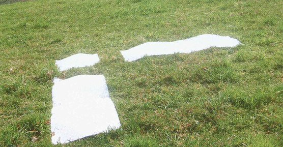 Seltsame Zeichen (Foto: Landratsamt Kyffh&auml;userkreis)