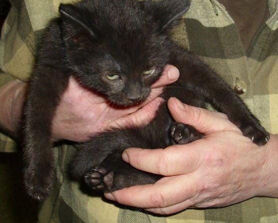 Das B-Team (Foto: C. Knust)