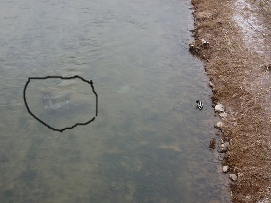 Fahrrad in der Wipper (Foto: Karl-Heinz Herrmann)