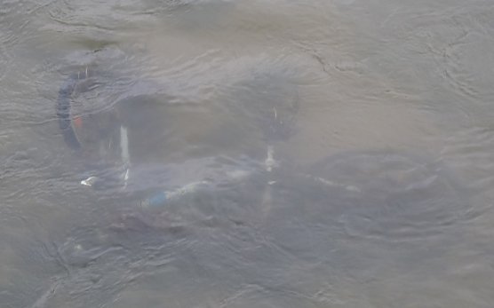 Fahrrad in der Wipper (Foto: Karl-Heinz Herrmann)