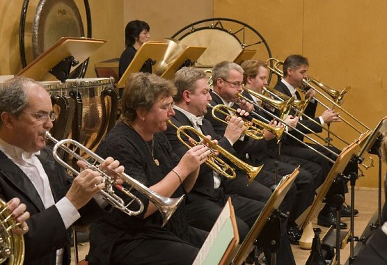 Musikalische Narren (Foto: T. Graner)