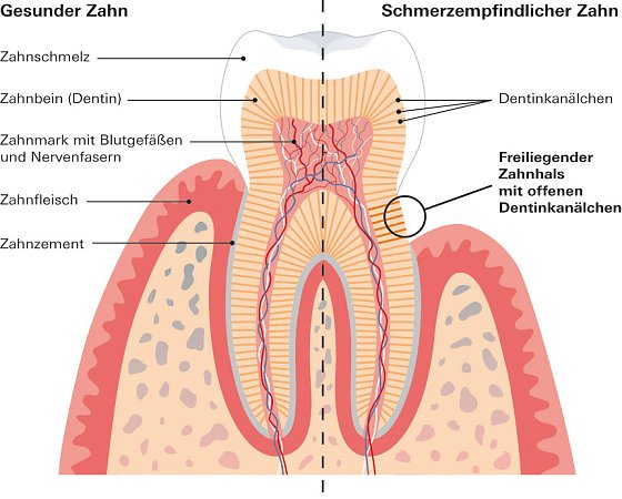 Bild: Grafik