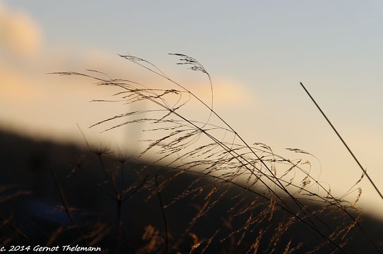 Bild: Wetter-Bild