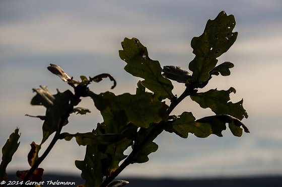 Bild: Wetter-Bild