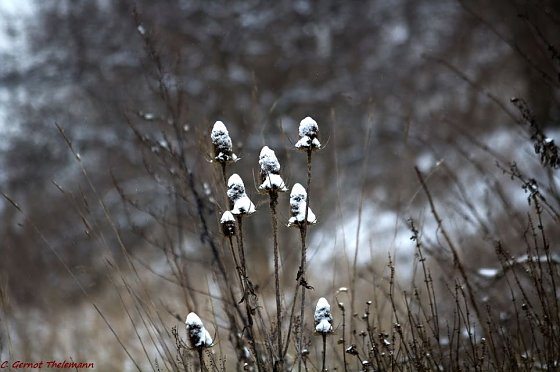 Bild: Wetter-Bild