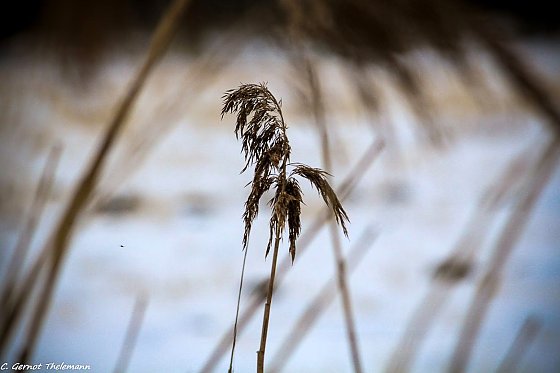Bild: Wetter-Bild