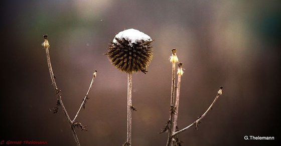 Bild: Wetter-Bild