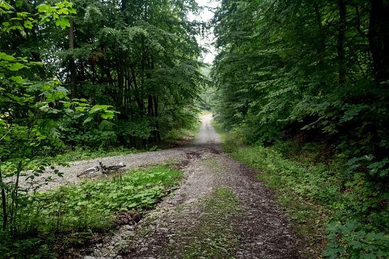 Bild: Wetter-Bild