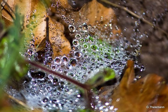 Bild: Wetter-Bild