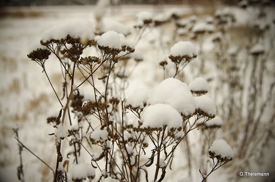 Bild: Wetter-Bild
