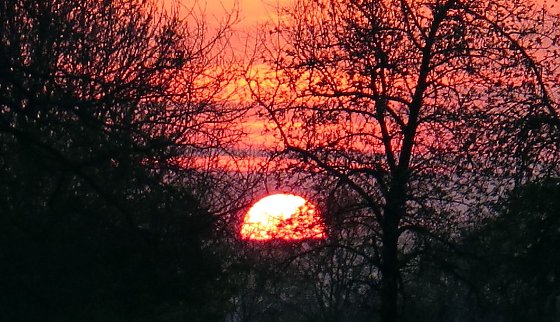 Bild: Wetter-Bild