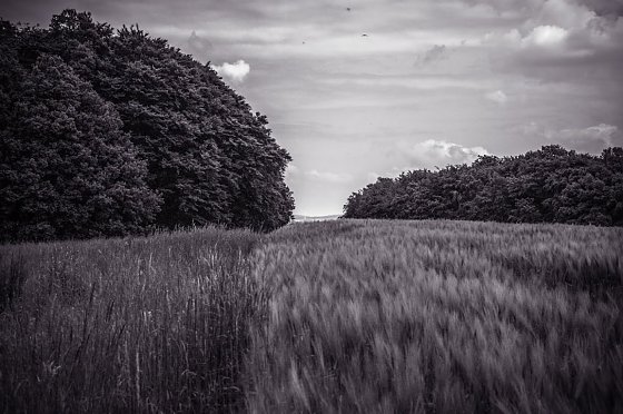 Bild: Wetterbild