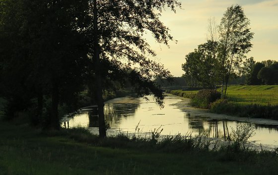 Bild: Lichtblick