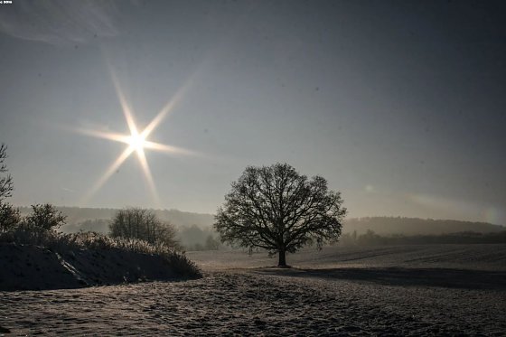 Bild: Wetter-Bild