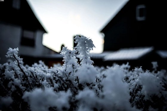 Bild: Wetter-Bild
